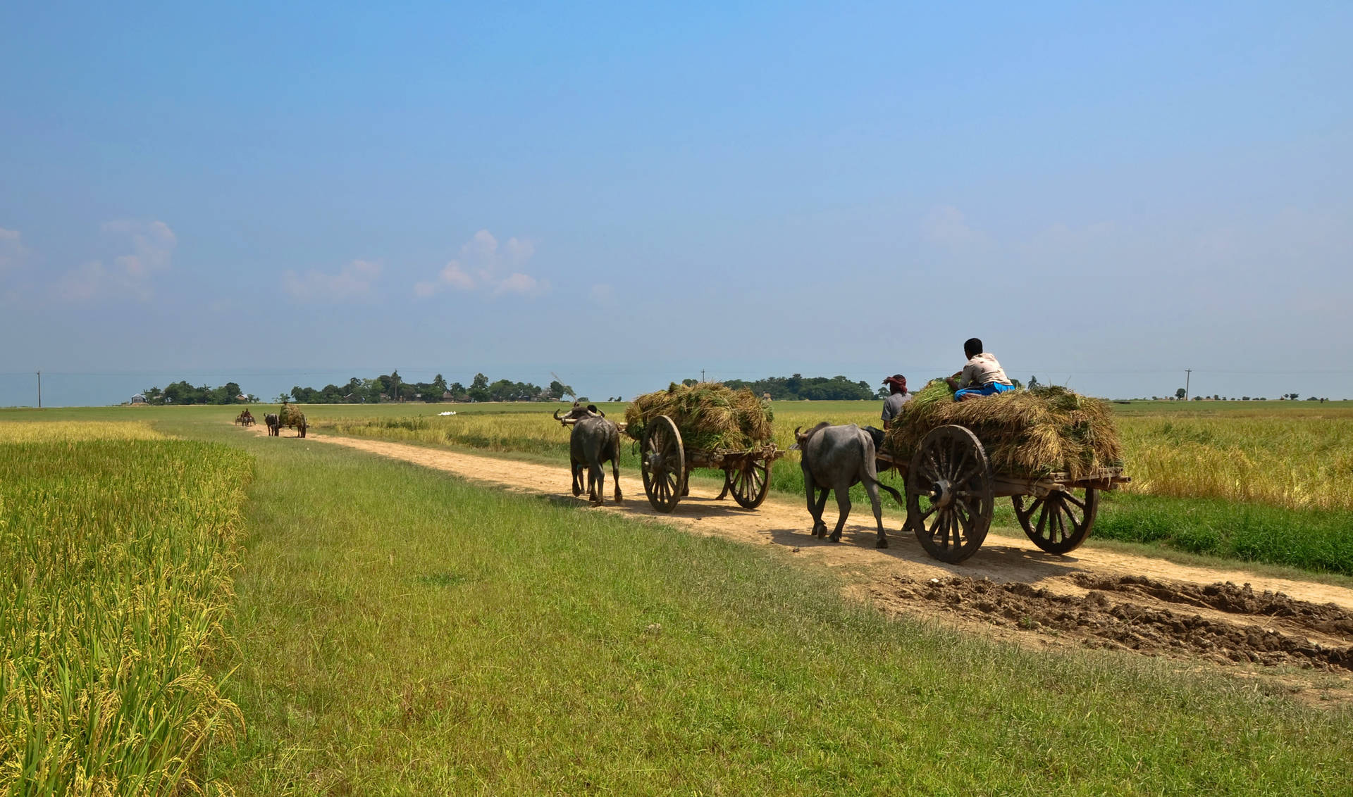 Bangladesh's Freelancing Economy: $700 Million and the World's Second Largest